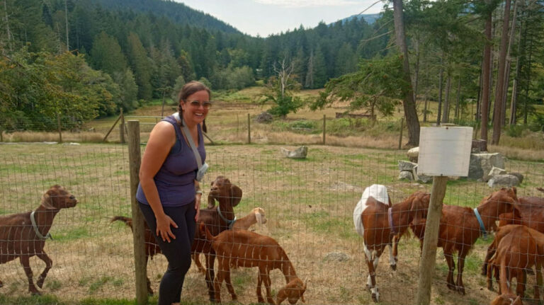 Author Catherine taking a photo with the goats at Salt Spring Island
