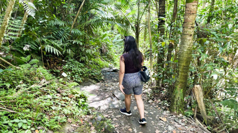 The author Vanessa Ramos, hiking in the middle of the forest in El Yunque