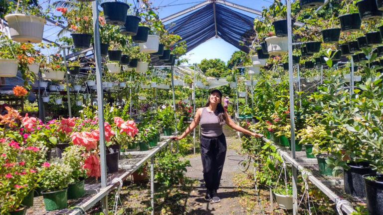 The author Vanessa Ramos posing inside an open flower farm
