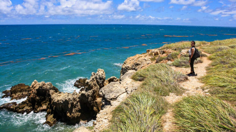 The author Vanessa Ramos, posing for a photo with an overlooking view of the ocean in Cabo Rojo’s National Wildlife Refuge