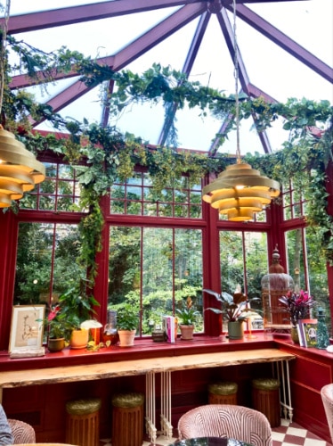 View of the garden from the back window of Ember Locke