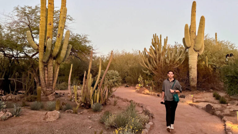 The author's partner wandering around in an area full of cacti