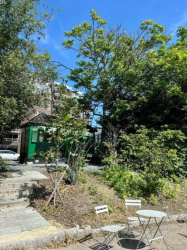 The Café Pier Chelsea under the clear blue sky