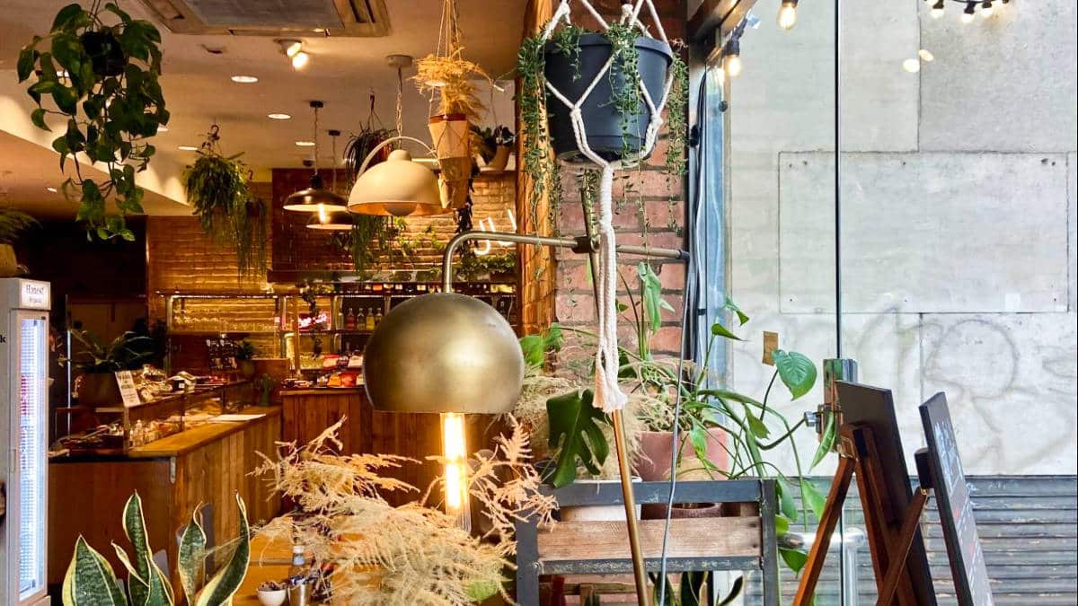 Coy interior of a café in London