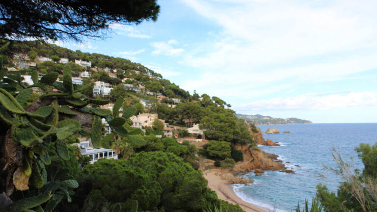 View of the town on the hills surrounded by greenery overlooking the ocean in Cala de Sant Francesc