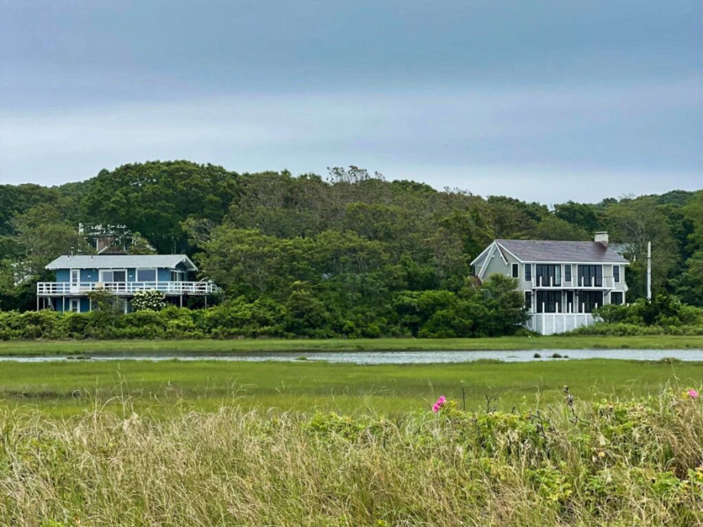 Panoramic view of the Cape-style homes surrounded by greenery