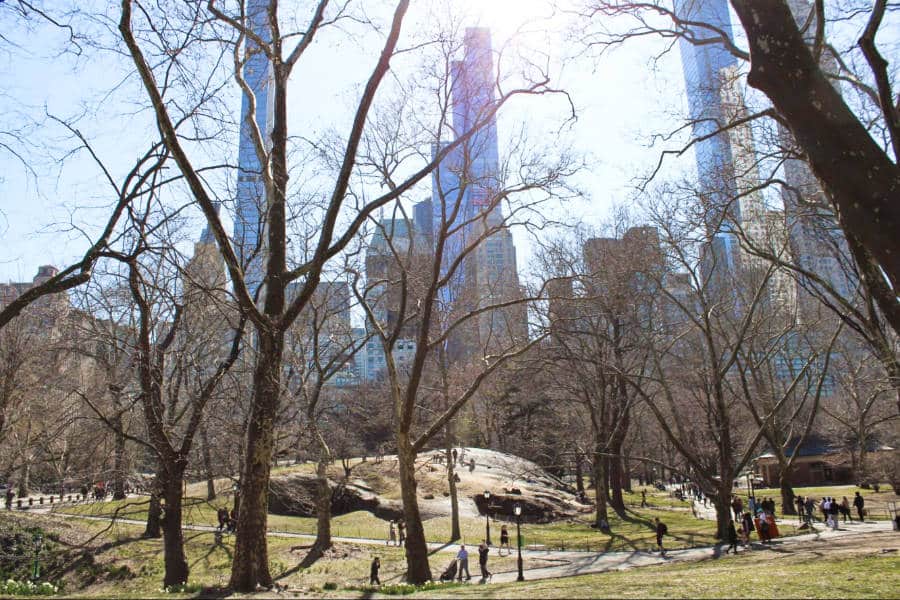 View of the people wandering around and the tall buildings from Central Park on a sunny day