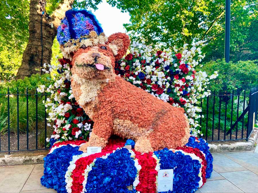 A corgi made of flower petals in Chelsea Flower Show