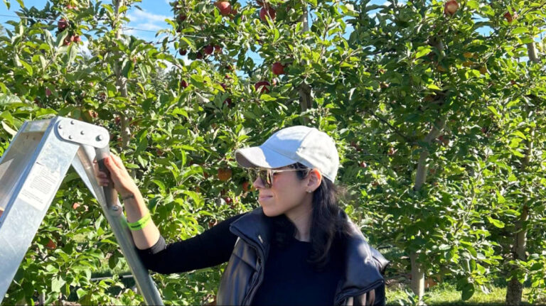 The author Claudicet picking apples at a farm