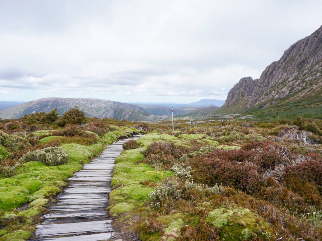 A walking path to the Cradle Mountain on a gloomy day