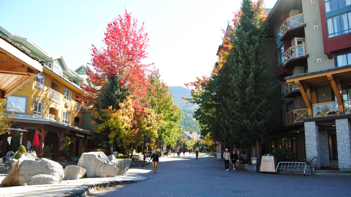 View of the fall foliage around the Whistler Village