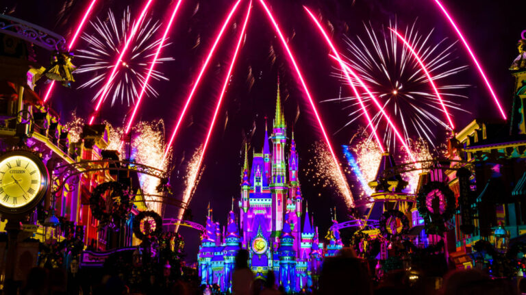 View of the fireworks over the castle at the Magic Kingdom