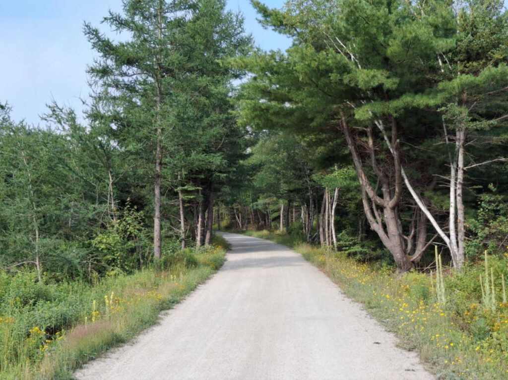 View of the wide and flat trail surrounded by greenery in Camino