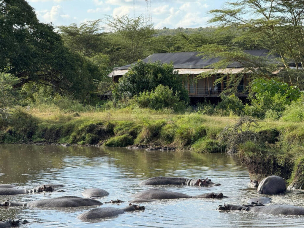 A hippo pond near the JW tents
