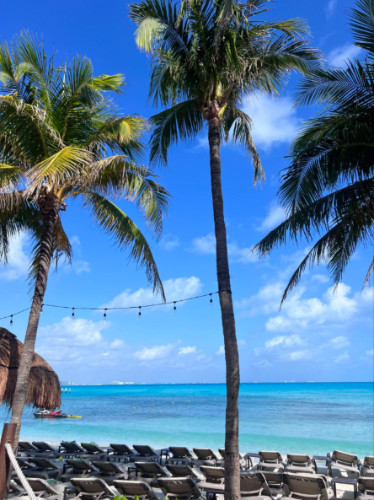 Beach chairs along the shoreline at Hyatt’s private beach