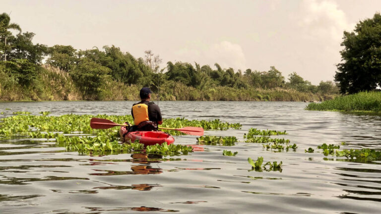 View of a man's back kayaking on the La Plata River in Dorado