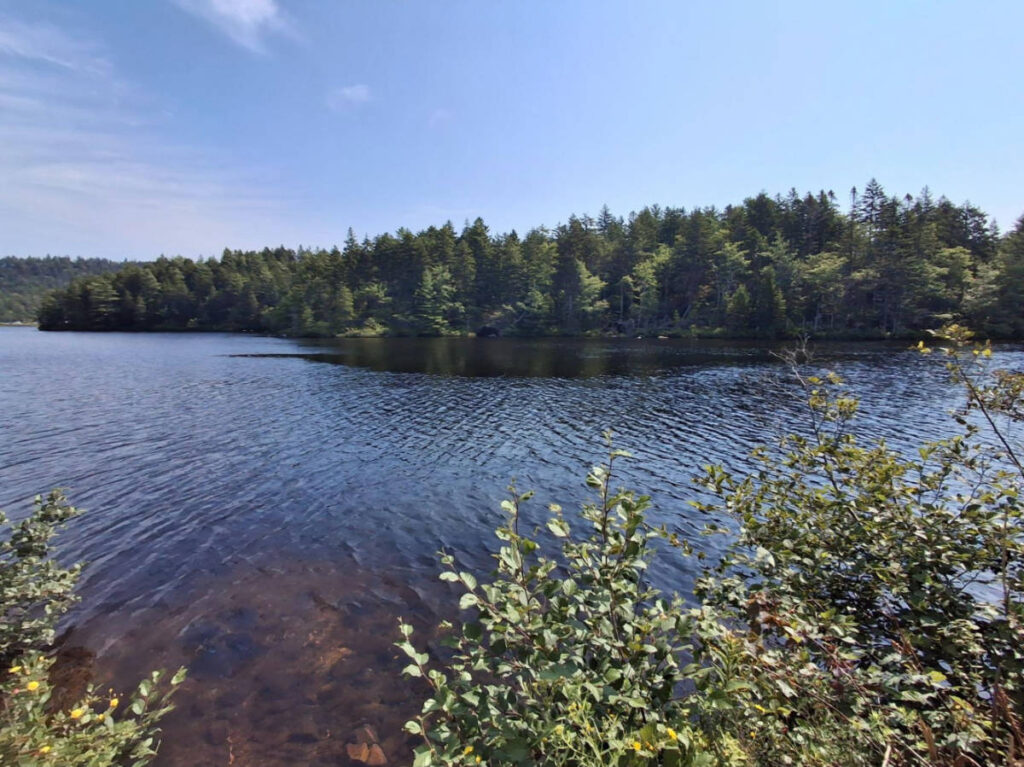 Scenic overlooking view of the clear water of the lake  with greenery around 