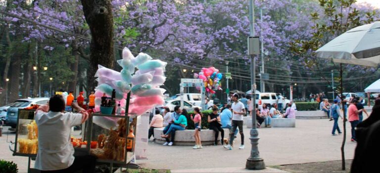 A street scene in Mexico City, showcasing a crowd of people and a tree with purple blossoms