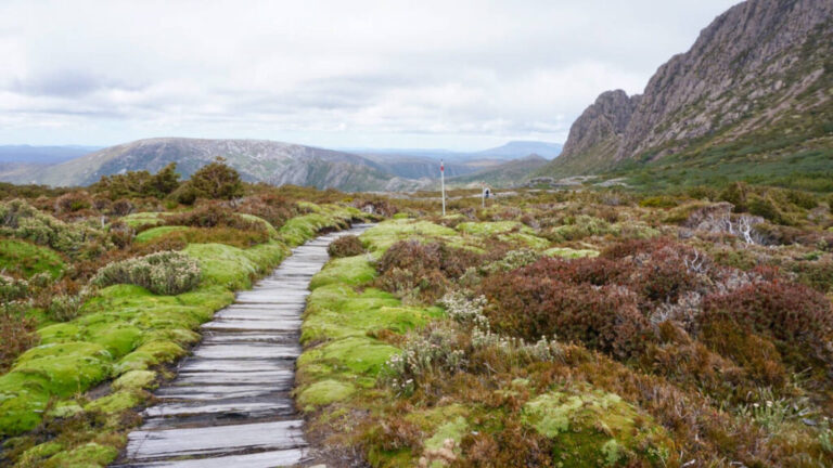 A walking path to the Cradle Mountain
