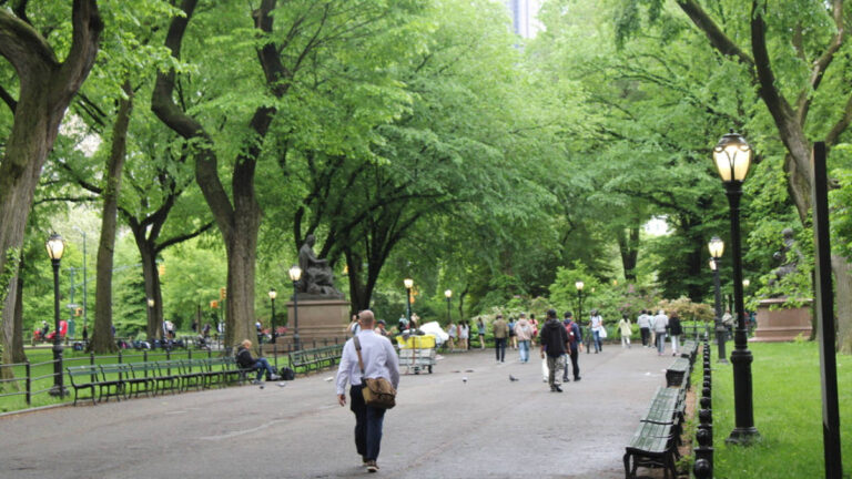 The people wandering around the Central Park surrounded by benches and greenery
