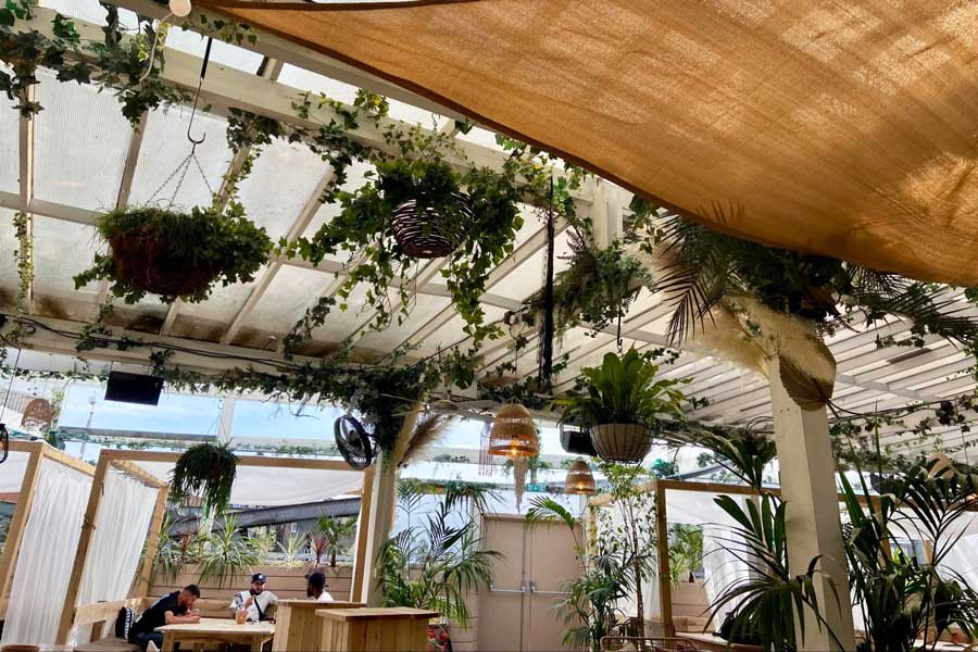 View from the beer garden at Pergola Paddington