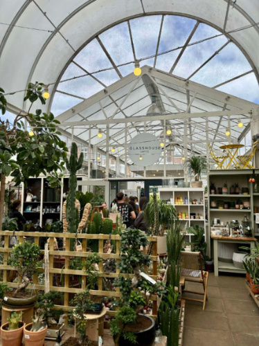 View of plants inside the Glasshouse Coffee
