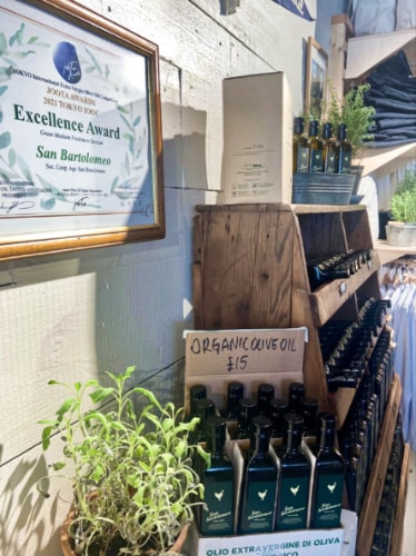 View of the bottles of organic oils displayed inside St. George Coffee