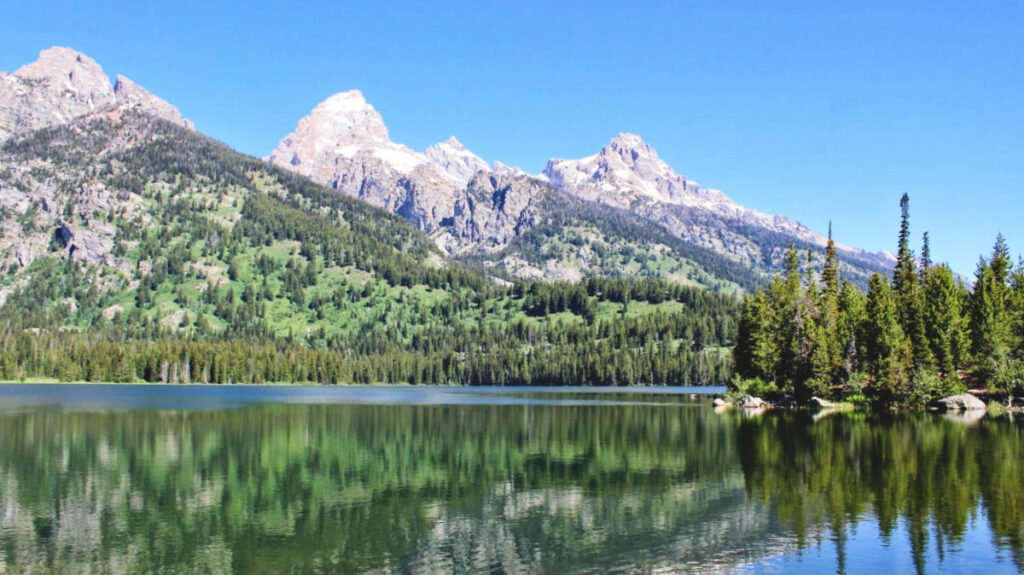 Clear blue sky over the scenic view in Grand Teton National Park