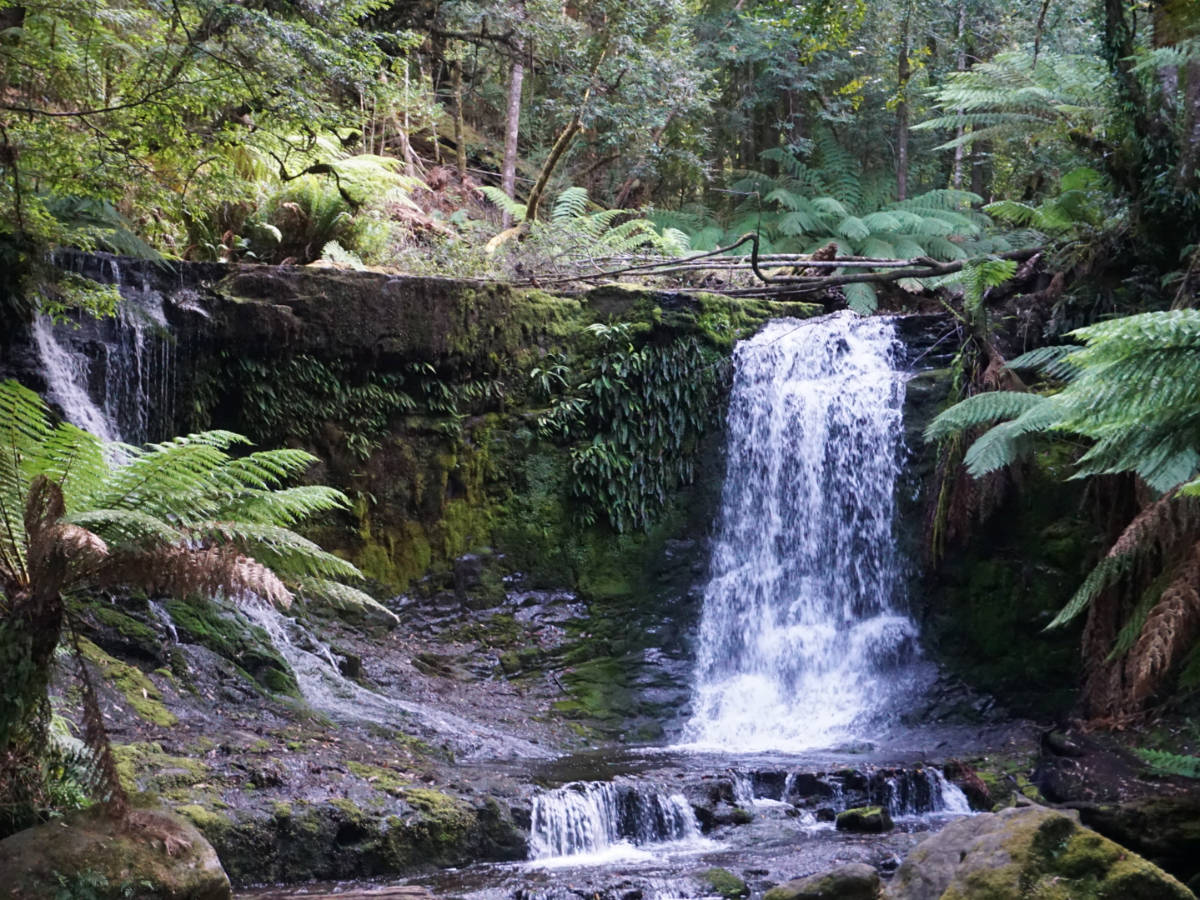 View of the Russell Falls surrounded by greenery