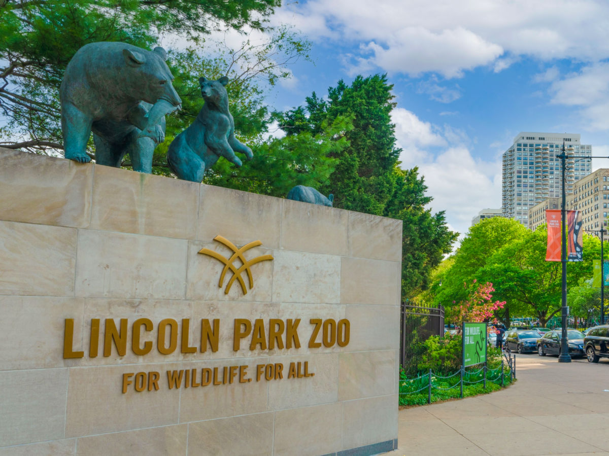 Statue of Bears on top of the Lincoln Park Zoo sign