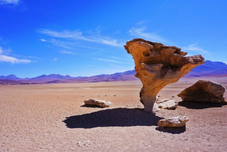 View of The "Rock Tree" on the Uyuni Salt Flats in Bolivia