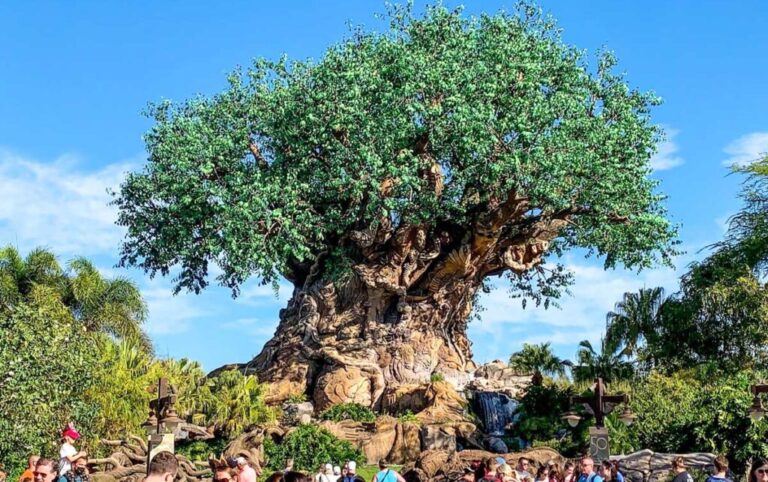 View of people in the Tree of Life in Discovery Island on Animal Kingdom